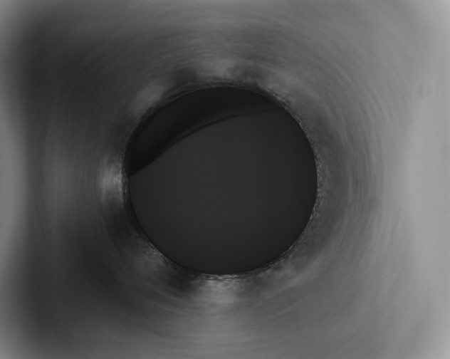 X0000103130720200809051609