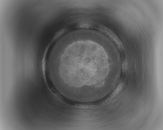 X0000103130722200809051608