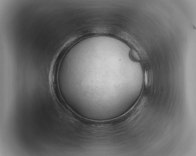 X0000103130723200809051608