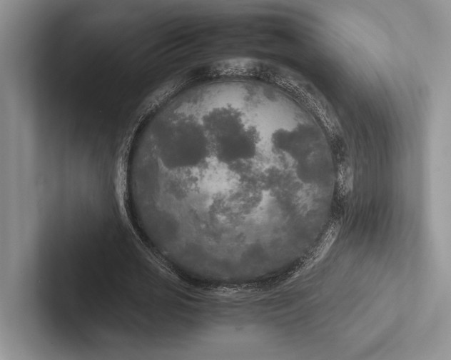 X0000103130725200809051608