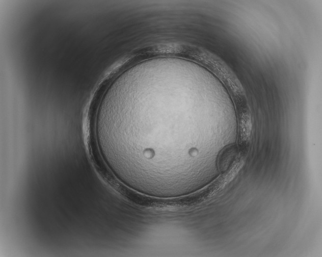 X0000103130726200809051608