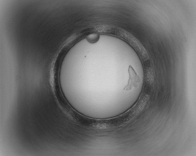 X0000103130730200809051608