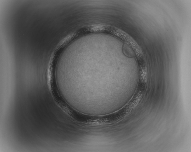X0000103130732200809051608