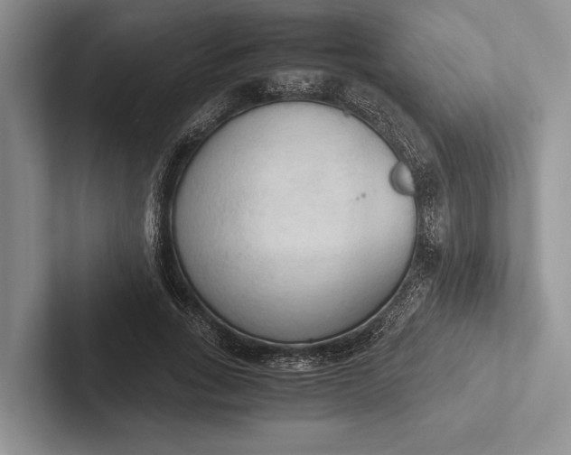 X0000103130735200809051608