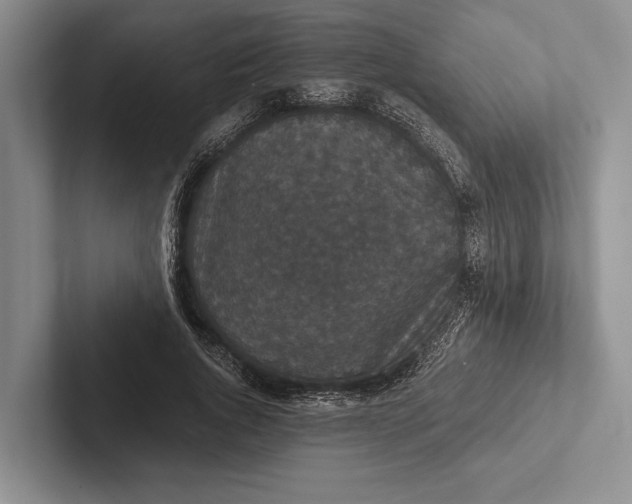 X0000103130736200809051608