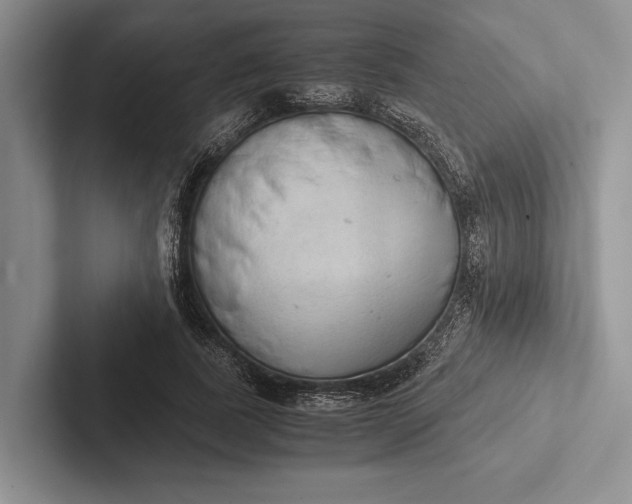 X0000103130739200809051609