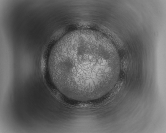 X0000103130742200809051609