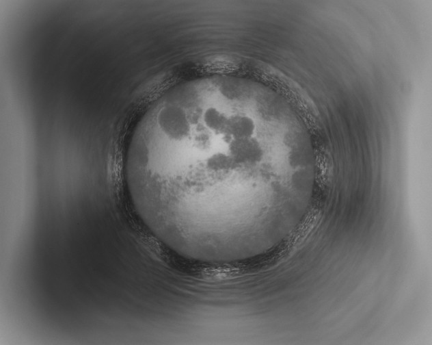 X0000103130745200809051609