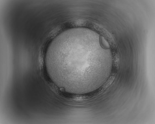 X0000103130746200809051609