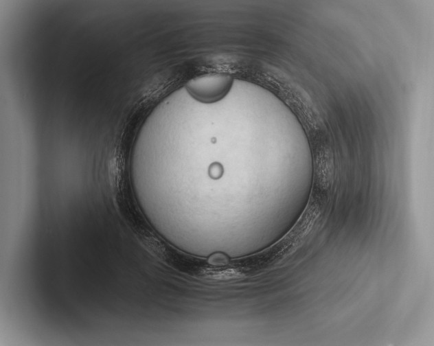 X0000103130747200809051609