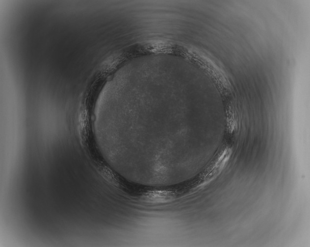 X0000103130748200809051609