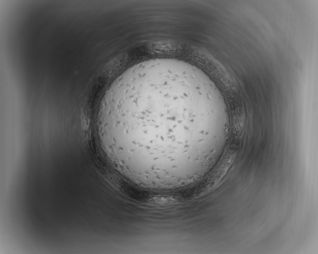 X0000103130749200809051609