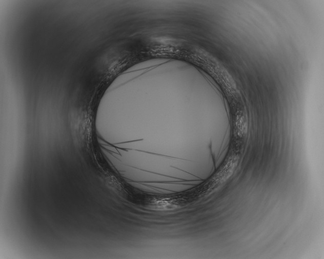 X0000103130753200809051609
