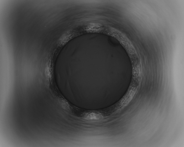 X0000103130755200809051609