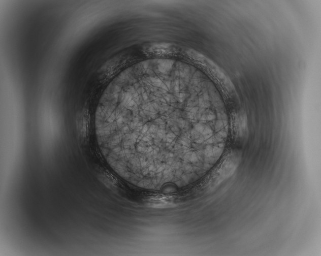 X0000103130760200809051609