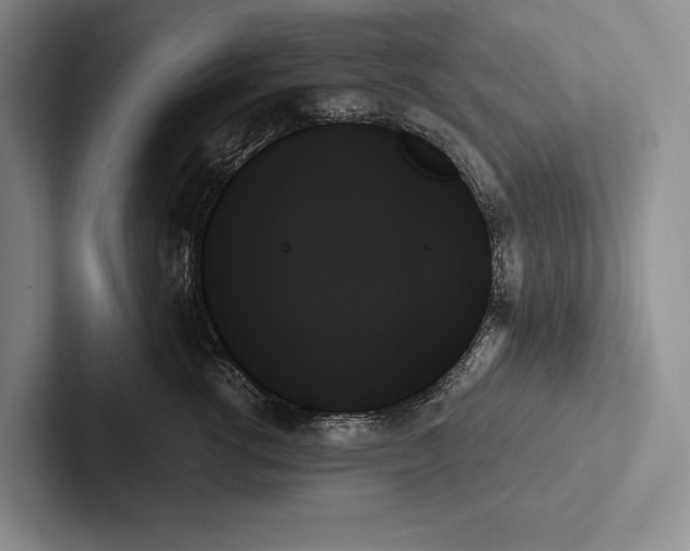 X0000103130762200809051609