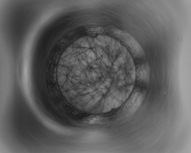 X0000103130764200809051609