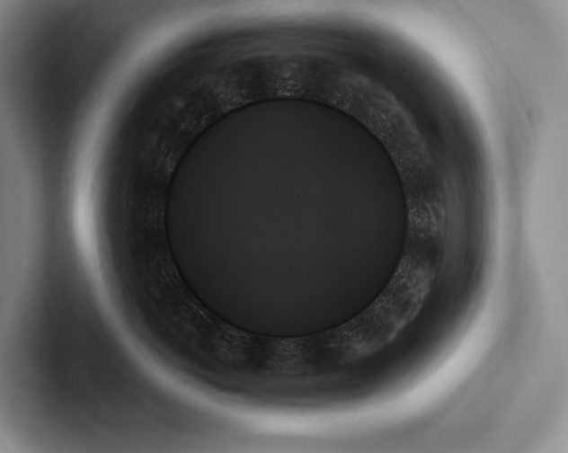 X0000103130766200809051609