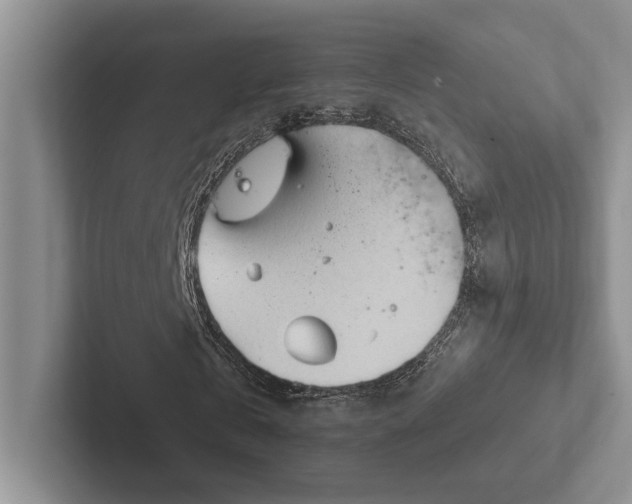 X0000103130769200809051608