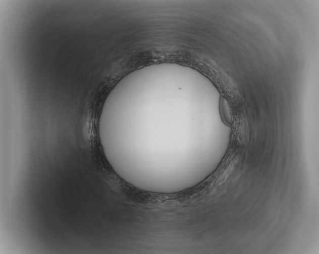 X0000103130770200809051608