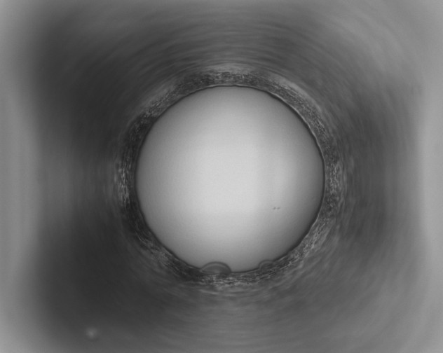 X0000103130774200809051608