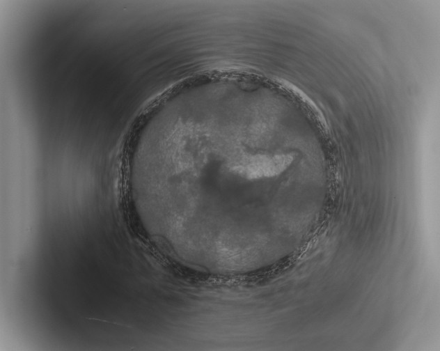 X0000103130775200809051608