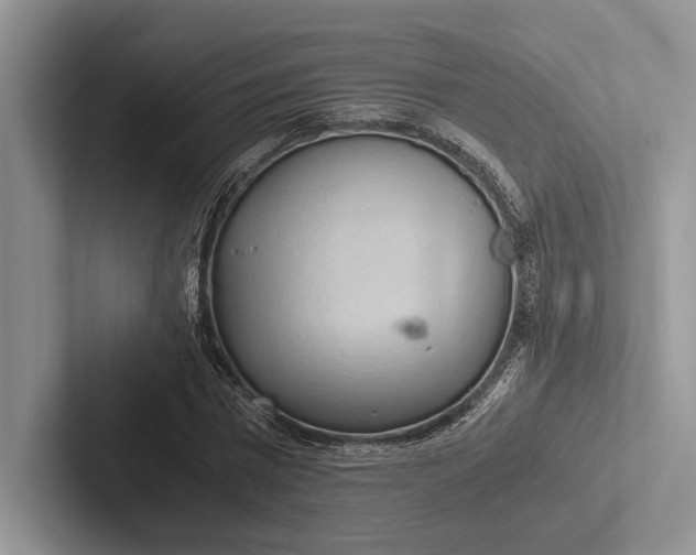 X0000103130777200809051608
