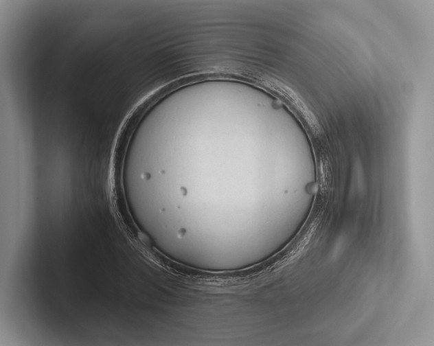 X0000103130780200809051608