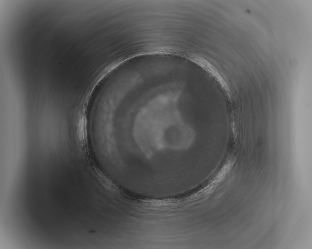 X0000103130781200809051608