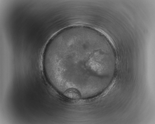 X0000103130783200809051608