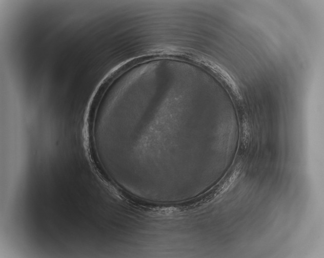 X0000103130784200809051608