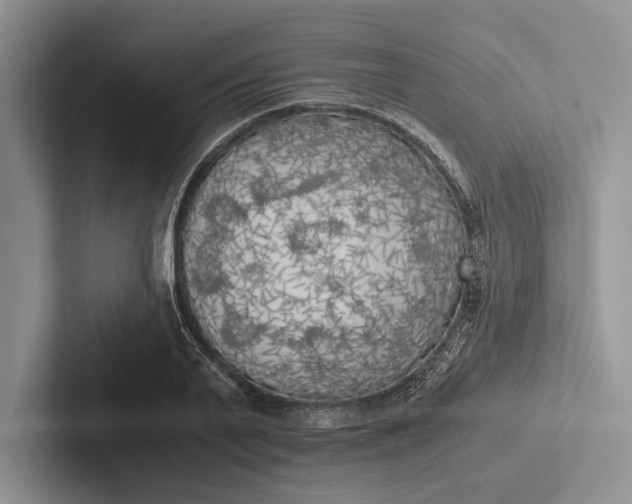 X0000103130791200809051608
