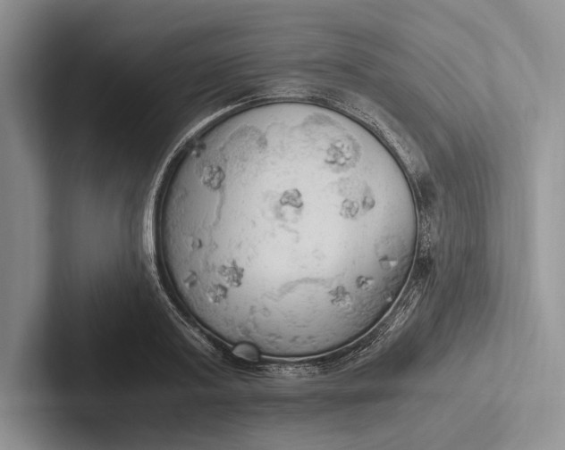 X0000103130795200809051608