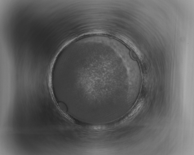 X0000103130797200809051608