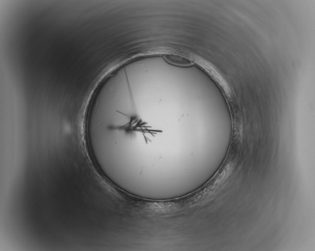 X0000103130805200809051608