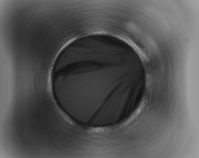 X0000103130806200809051608