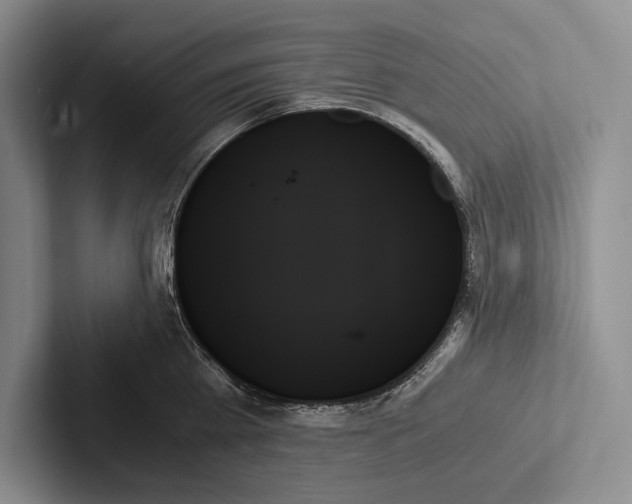 X0000103130809200809051608