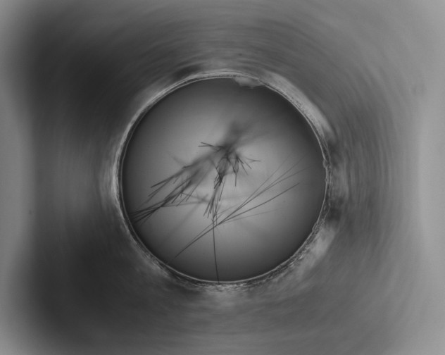 X0000103130813200809051608