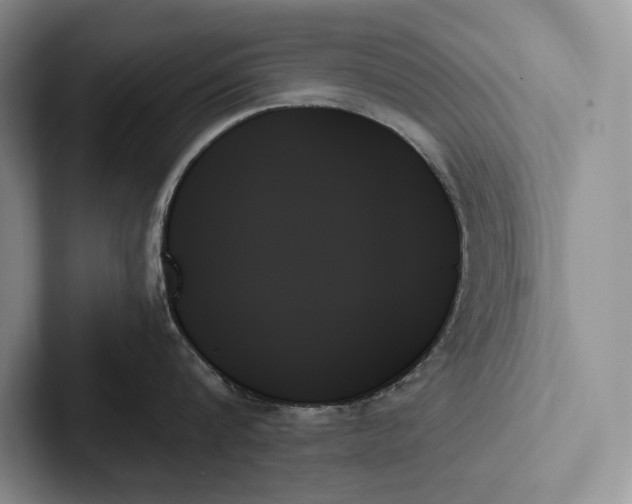 X0000103130816200809051608