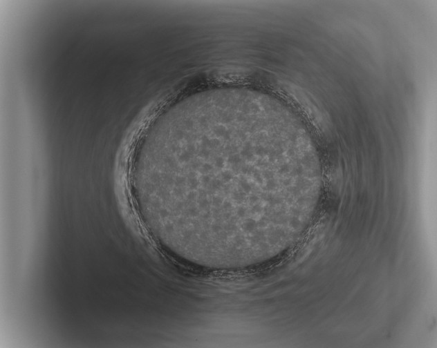 X0000103130817200809051607
