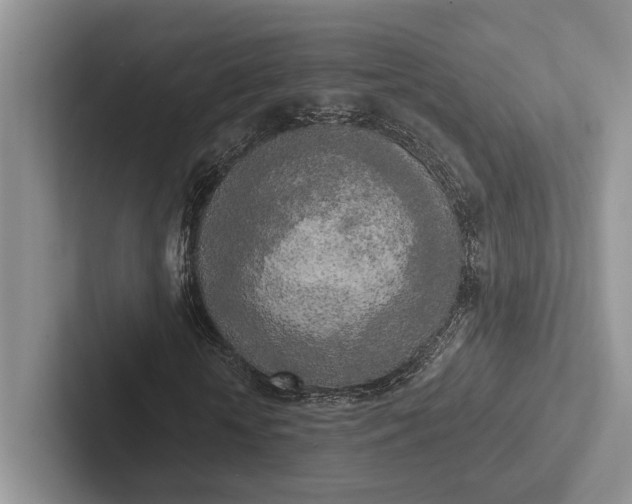 X0000103130818200809051607