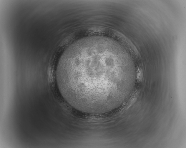 X0000103130819200809051607