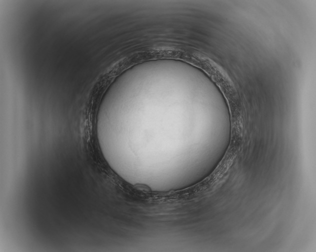 X0000103130821200809051607