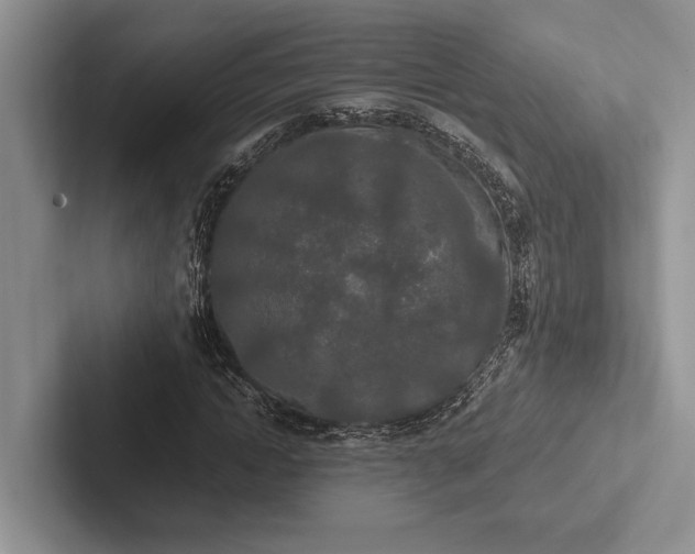 X0000103130822200809051607