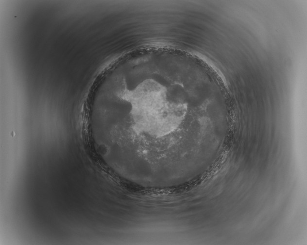 X0000103130823200809051607