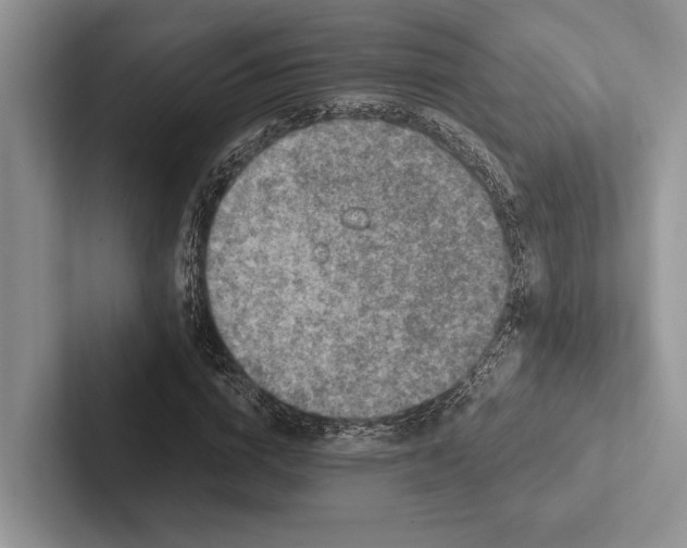 X0000103130824200809051607