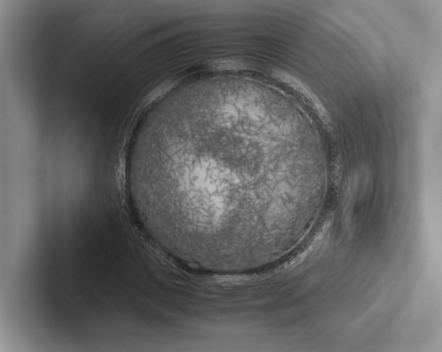 X0000103130825200809051607