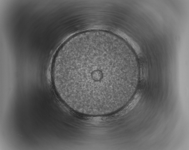 X0000103130828200809051607