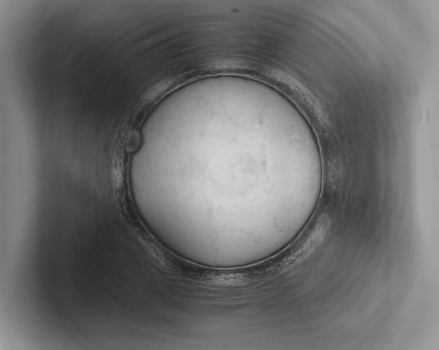 X0000103130833200809051607