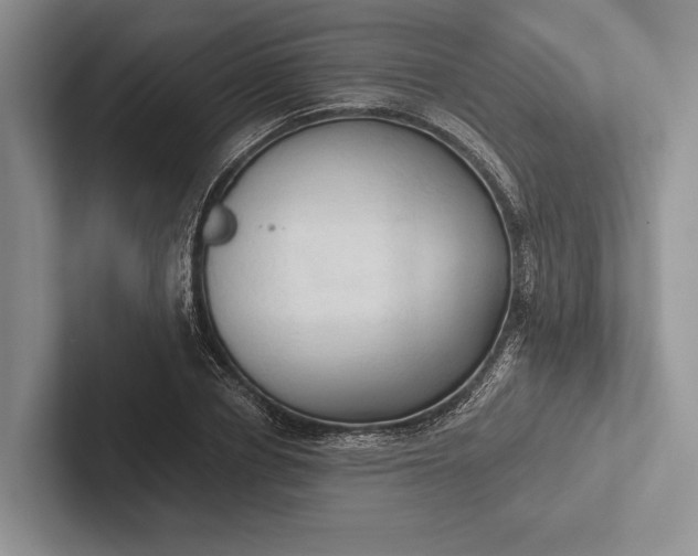 X0000103130834200809051607